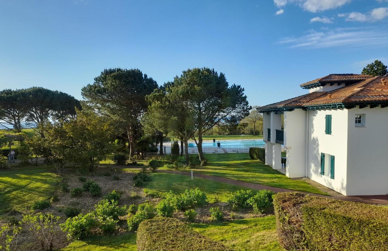 Atlantic Selection - Domaine De Bordaberry - Avec Piscine Et Vue Ocean Lejlighed Urrugne Eksteriør billede