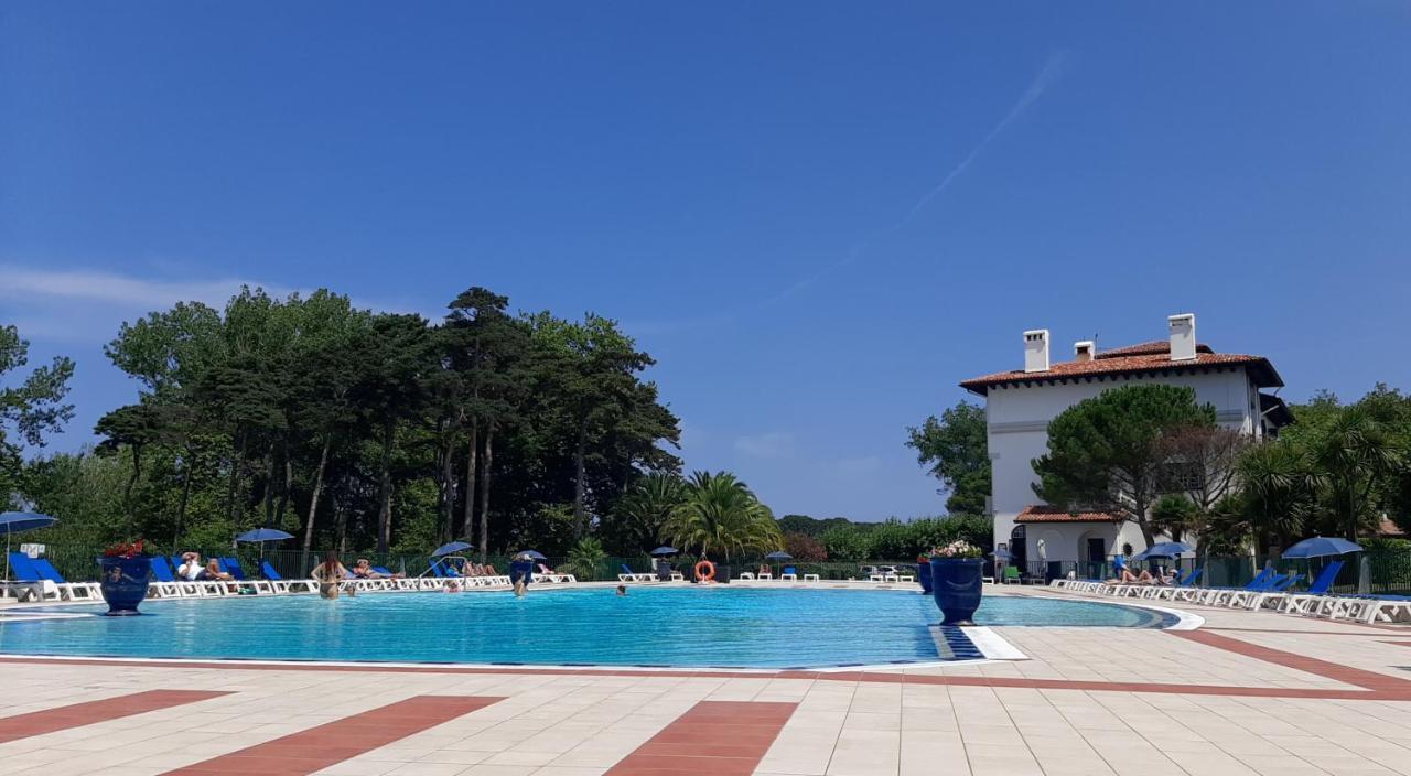 Atlantic Selection - Domaine De Bordaberry - Avec Piscine Et Vue Ocean Lejlighed Urrugne Eksteriør billede